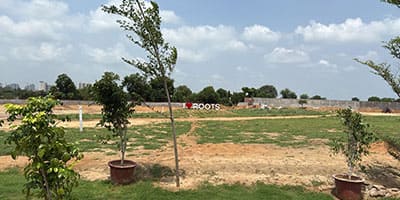 Roots Courtyard 2 - Construction Update - july 2025