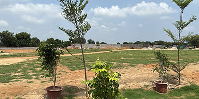 Roots Courtyard 2 - Construction Update - july 2025