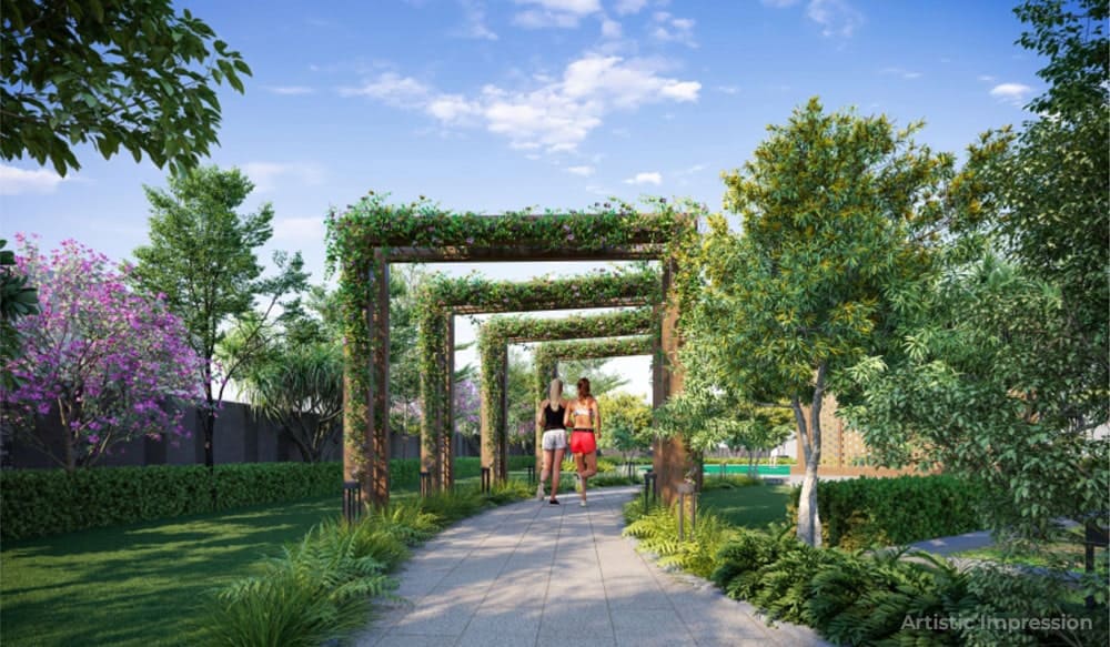 Roots Courtyard 2 Project Highlights